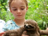 M/V aqua amazon cruise, baby sloth