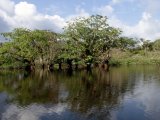 Amazonia Region (Metropolitan)